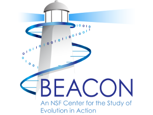 BEACON Center for the Study of Evolution in Action